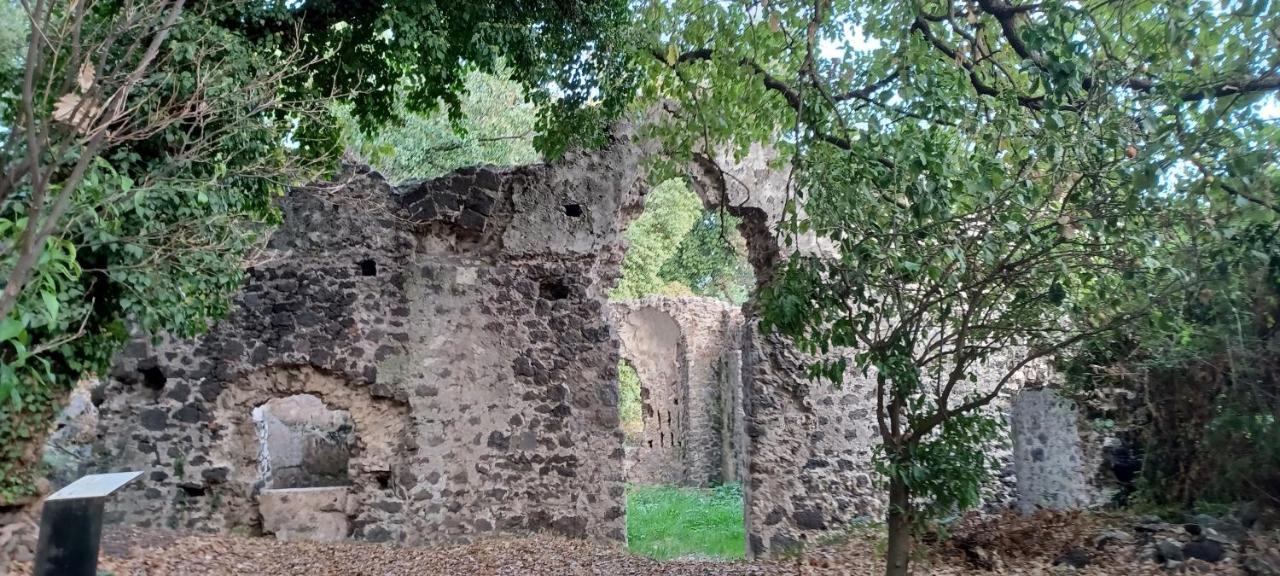 Rusina Villa Santa Venerina Exterior photo